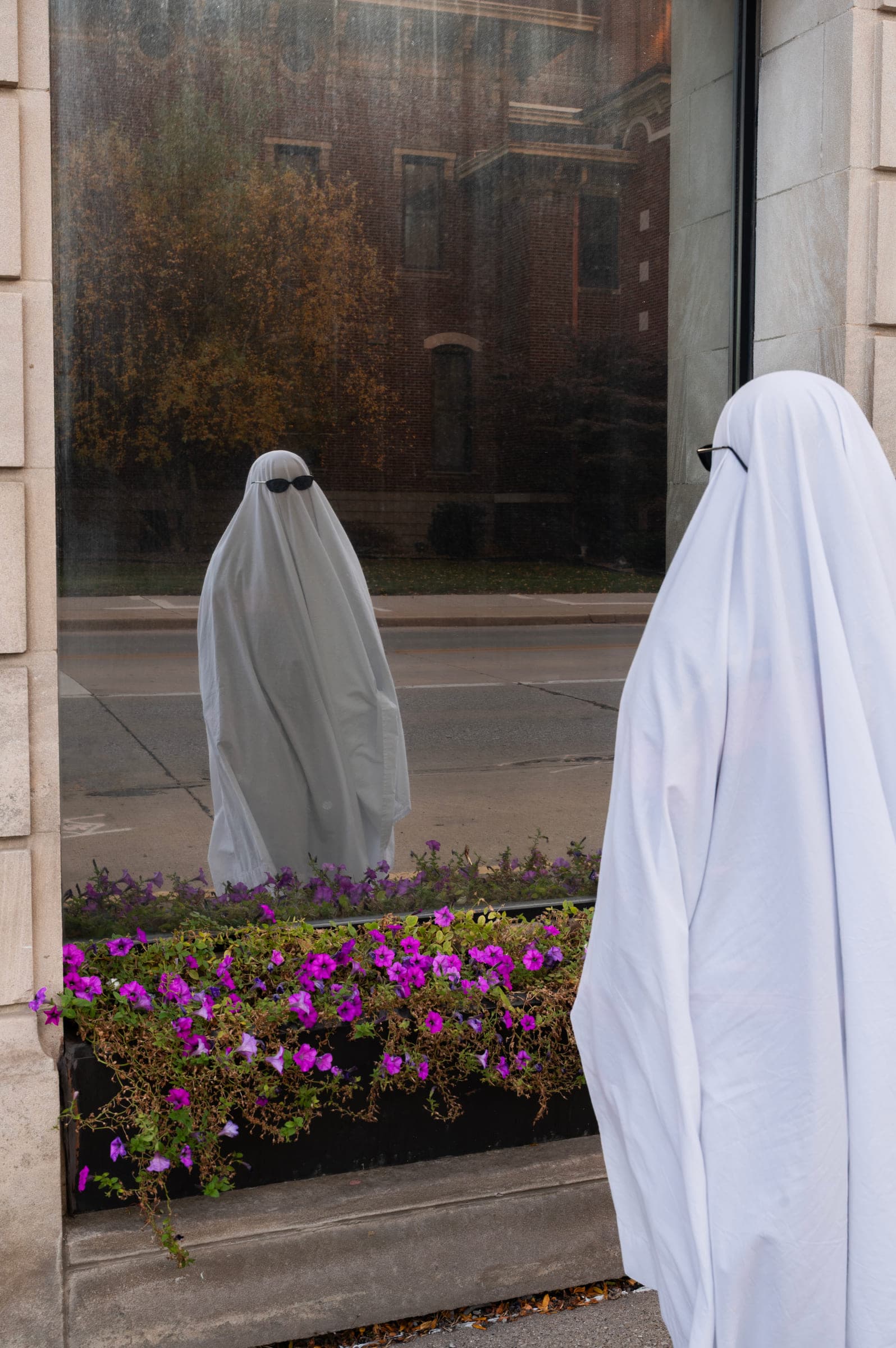 Ghoul, photo 2