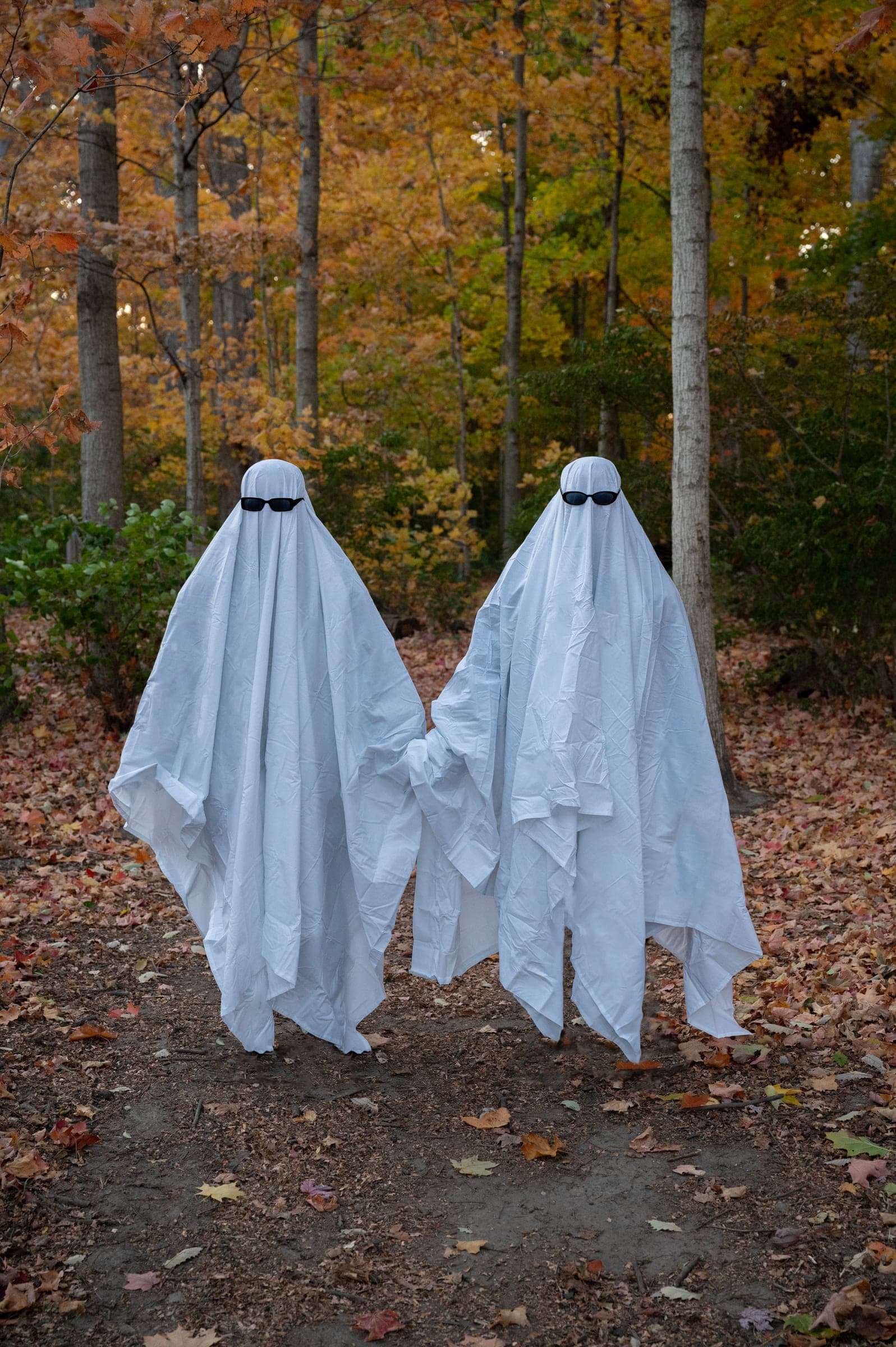 Ghoul, photo 1